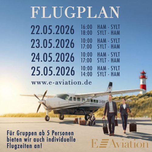 www.e-aviation.de
